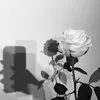 .mousi