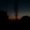 die_abfalltonne