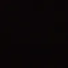 ribeiro_zzl1