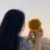 sha_mast