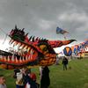 dragon_fly_kites