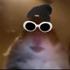 jeroldthecoolhamster