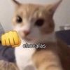 urtiasfav1