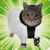 user29415655