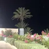 aamiraa.a