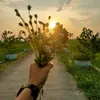 nj_gg6l