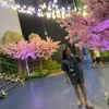 thangdung88
