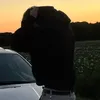 noahrdgs1