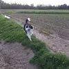 enzolupo0