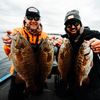 Aggressively Average Anglers