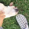 lovelylifed
