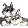 Greywolf Blackfox