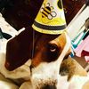 haddie_wynn_helps