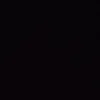 _silvws_