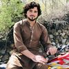 zainshah12527