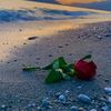 yasin_yasin.0004