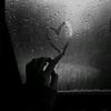 nadzlurve