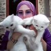 momi_meong