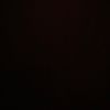 taj_wilesy