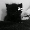 irixwqs_