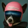 SKIBIDIBOPPY (Tempe23) ©