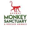 Monkey Sanctuary