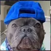 oscar____________c0pee