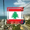 ali_86395