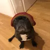 domi0r1