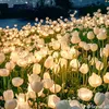 jellica_2354