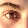 walidhmdn