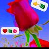haiderkhan2244
