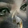 asolaa715
