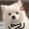 j_m0nv
