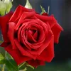 user119351683