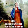 elieteperes1
