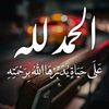 waleedmohamed616