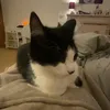 sophie_5635