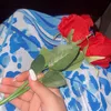 golle_8