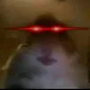 inimadeinger