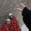 chapinsitaroxi