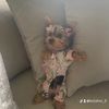 kelahni_0