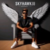 skyhawk_8808