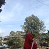 yunz_cams94