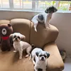 its_furmomdaaa