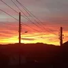 robertzambrano16