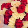 frooha133