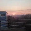 gian_1155
