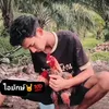 peerawas_2547