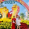 thuydung8826